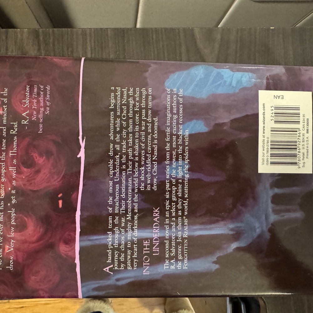 Insurrection - R.A. Salvatore- War of the Spider Queen HCDJ - Picture 3 of 4